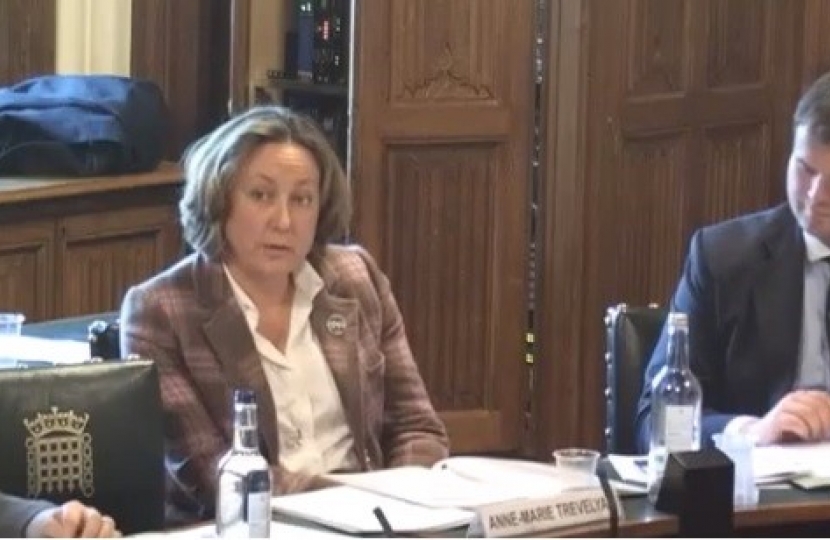 Anne-Marie Trevelyan PAC hearing 111016