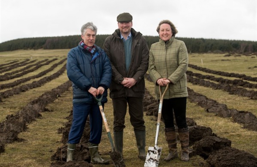 tree planting Doddington