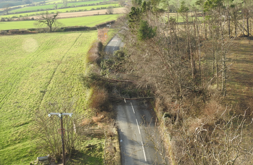 Helicopter Pic of Storm Damage