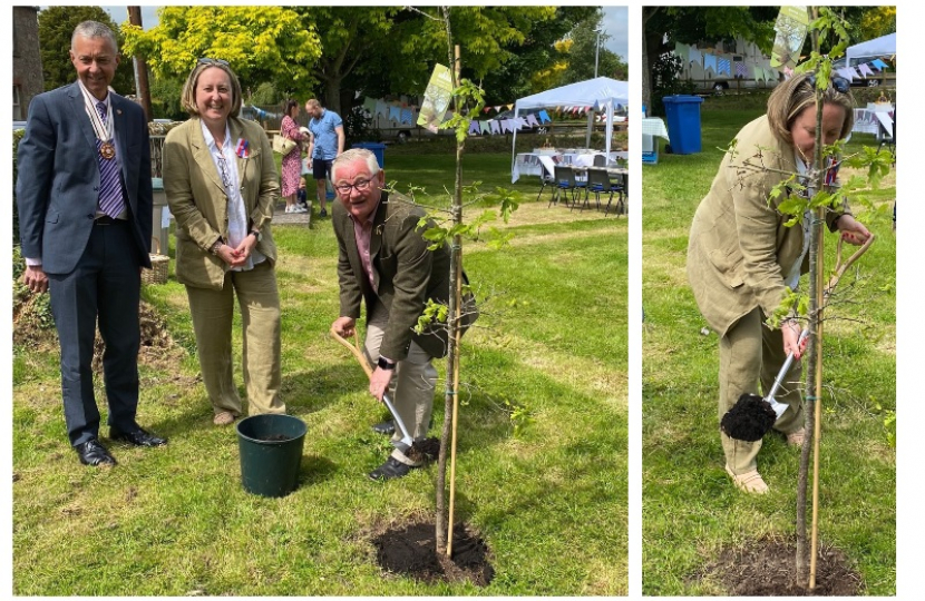 tree planting