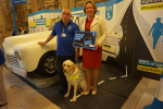 Guide Dogs Event