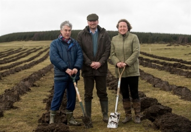 tree planting Doddington