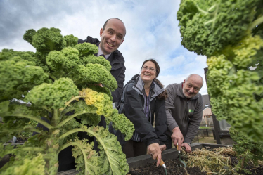 "Shettleston Community Growing Project" by Scottish Government is licensed under CC BY-NC 2.0.